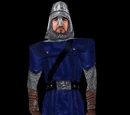 Sheriff Helmet Guard