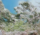 Anopha Quarry