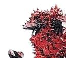 Pandon
