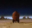 The Moon