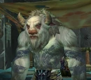 Taunka