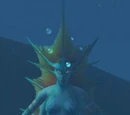 Meridith the Mermaiden