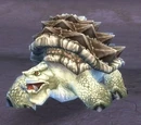 Sparkleshell Snapper