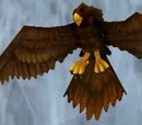 Talonshrike