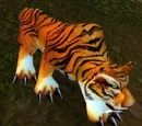 Bloodscalp Tiger