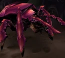 Centipaar Tunneler