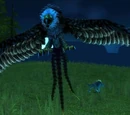 Wiry Swoop