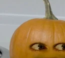 Gourd