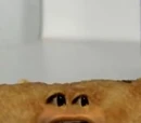 Egg Roll