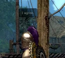 Roleplaying server rules