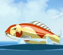 Elephant koi