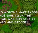 Banjo-Kazooie: Grunty's Revenge