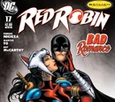 Red Robin Issue 17