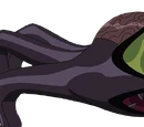 Xenocyte