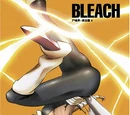 Yoruichi Shihōin/Image Gallery