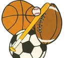 B8 Sports Allegiances