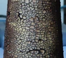 Terra sigillata elaboración