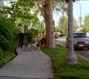 Paige Matthews/Temp Jobs