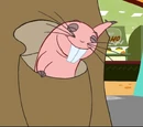 Rufus (Kim Possible)