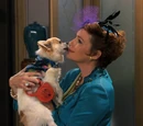 Rhoda Chesterfield