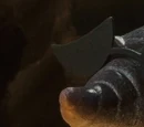 Earthworm