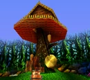 Fungi Forest