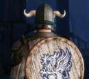 Warden Recruit Shield