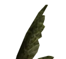 Hackle-Lo Leaf