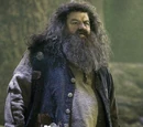 Rubeus Hagrid