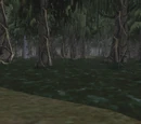 Innothule Swamp Lore