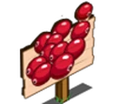 Cranberry