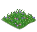 Spring Meadow