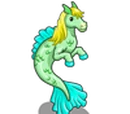 Sea Hippocamp