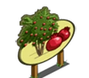 Pomegranate Tree