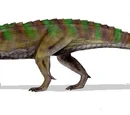 Ticinosuchus