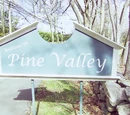 Pine Valley