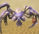 Sand Spider