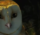 Soren