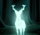 Sortilège du Patronus