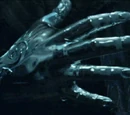 Peter Pettigrew's silver hand