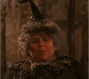 Head of Hufflepuff House