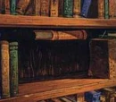 Invisibility Section