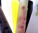 Coconut Water Ice Pops