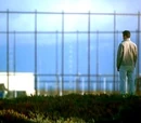 Why is John's day with his father spent looking at the array?