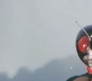 A Cyborg Flies in the Sky