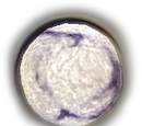 Orbe de lumière