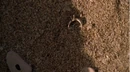 2X05-AndFound.jpg