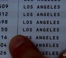 Ajira Flight 316