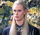 Galdor of the Havens