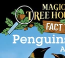 Penguins and Antarctica